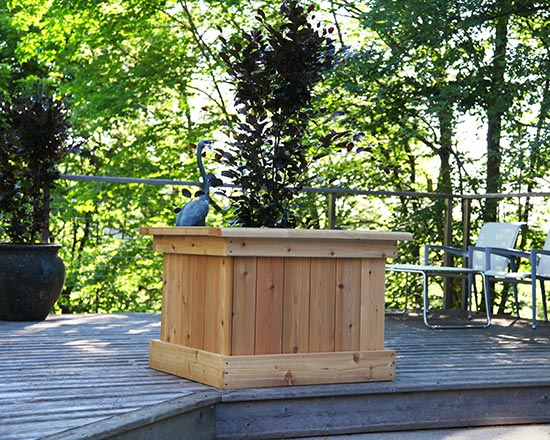 Cedar tree planters