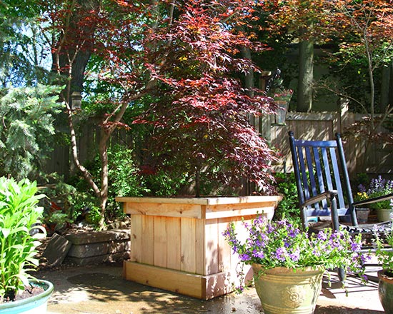 Cedar tree planters