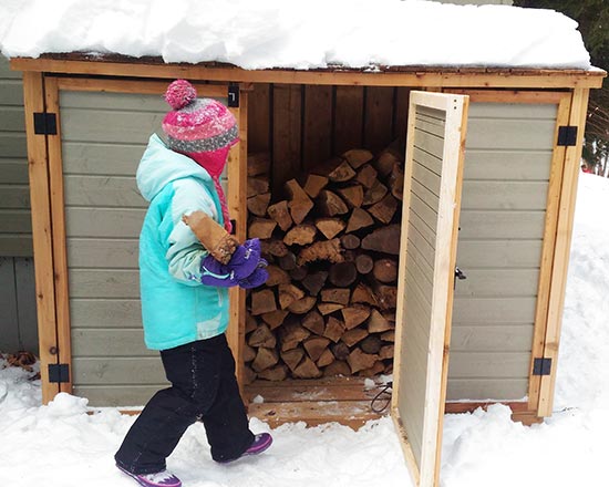 Triple Bin Storage Shed for Garbage Bins &amp; Recycling Bins ...